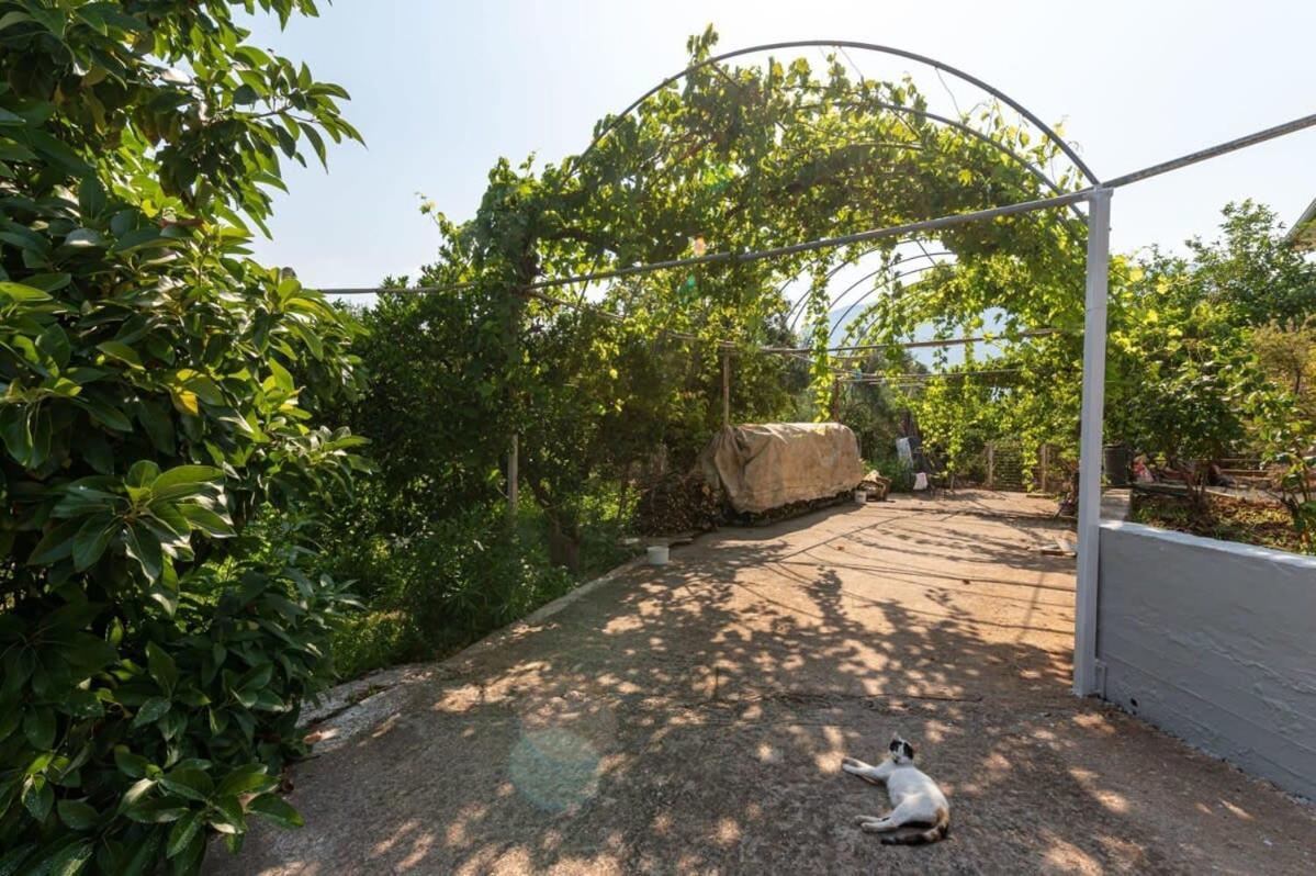 Serene Seaside Bliss - Lush & Secluded Garden Oasis Kalamata Exteriör bild